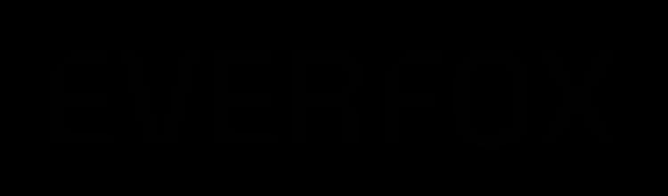 high-speed-guard | cross-domain-solutions | Everfox